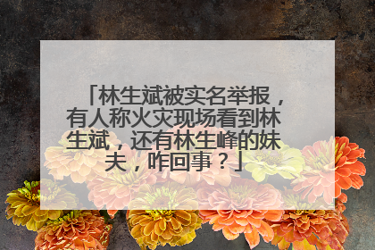 林生斌被实名举报，有人称火灾现场看到林生斌，还有林生峰的妹夫，咋回事？