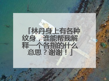 林丹身上有各种纹身,谁能帮我解释一个各指的什么意思?谢谢!