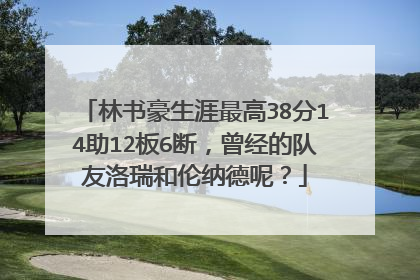 林书豪生涯最高38分14助12板6断，曾经的队友洛瑞和伦纳德呢？