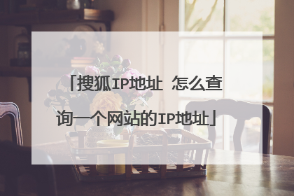 搜狐IP地址 怎么查询一个网站的IP地址