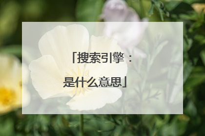 搜索引擎：是什么意思