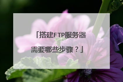 搭建FTP服务器需要哪些步骤?