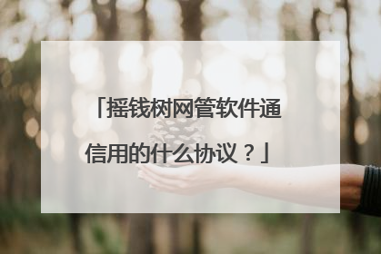 摇钱树网管软件通信用的什么协议?