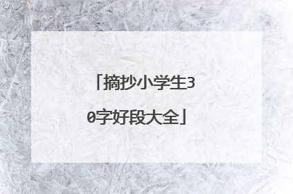 摘抄小学生30字好段大全