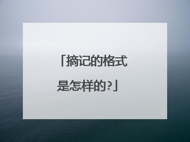 摘记的格式是怎样的?