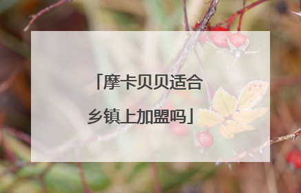 摩卡贝贝适合乡镇上加盟吗