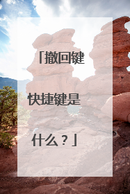 撤回键快捷键是什么？