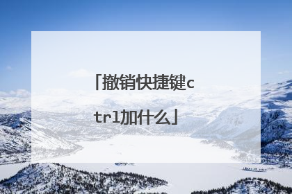 撤销快捷键ctrl加什么