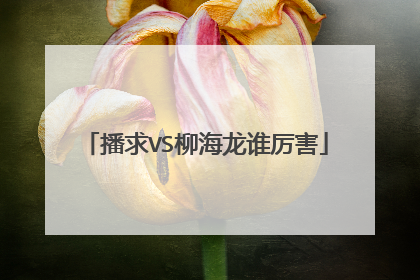 播求VS柳海龙谁厉害
