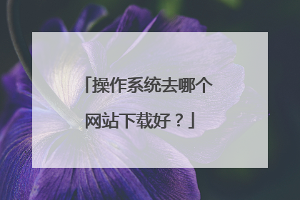 操作系统去哪个网站下载好?