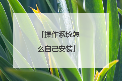 操作系统怎么自己安装