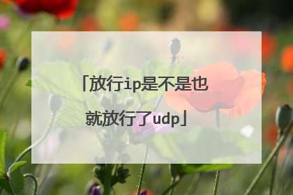 放行ip是不是也就放行了udp