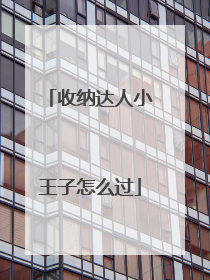 收纳达人小王子怎么过
