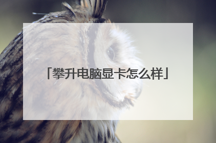 攀升电脑显卡怎么样