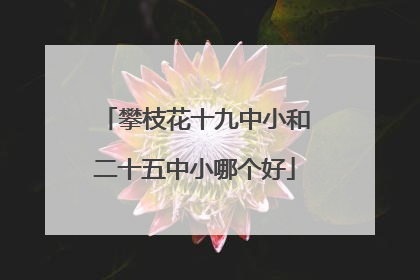攀枝花十九中小和二十五中小哪个好
