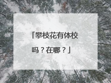攀枝花有体校吗？在哪？