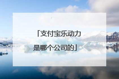 支付宝乐动力是哪个公司的