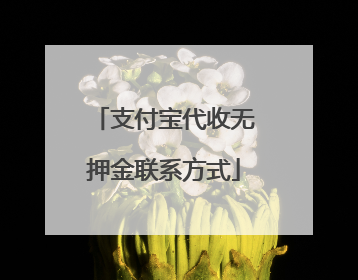 支付宝代收无押金联系方式