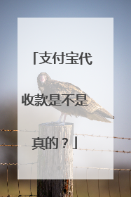支付宝代收款是不是真的？