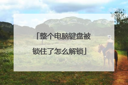 整个电脑键盘被锁住了怎么解锁
