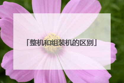 整机和组装机的区别