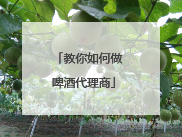 教你如何做啤酒代理商