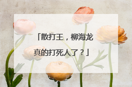 散打王，柳海龙真的打死人了？