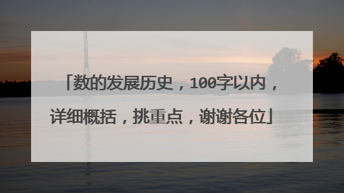 数的发展历史，100字以内，详细概括，挑重点，谢谢各位