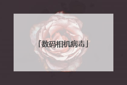 数码相机病毒