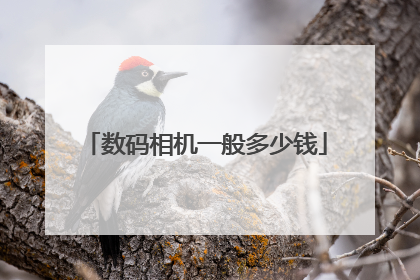 数码相机一般多少钱