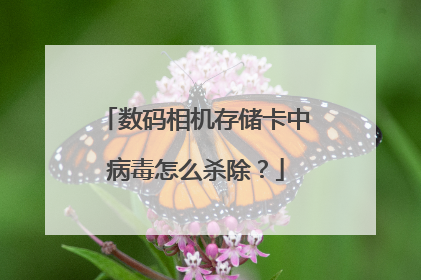 数码相机存储卡中病毒怎么杀除？