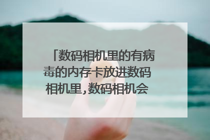 数码相机里的有病毒的内存卡放进数码相机里,数码相机会有病毒吗?在线等