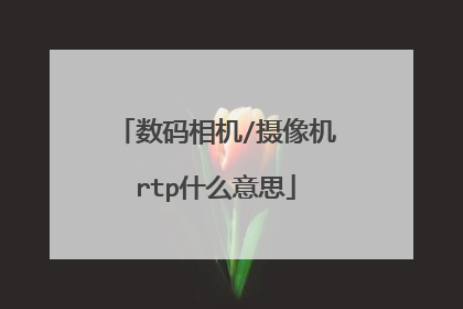 数码相机/摄像机rtp什么意思