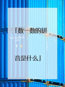 数一数的拼音是什么