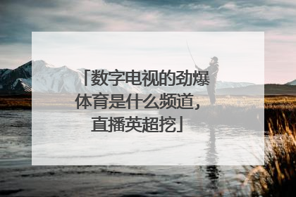 数字电视的劲爆体育是什么频道,直播英超挖