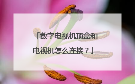 数字电视机顶盒和电视机怎么连接?