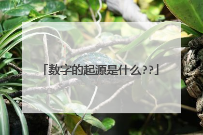 数字的起源是什么??