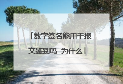 数字签名能用于报文鉴别吗 为什么