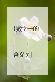 数字一的含义？
