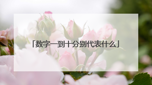 数字一到十分别代表什么