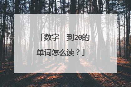 数字一到20的单词怎么读？