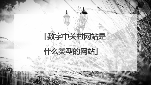数字中关村网站是什么类型的网站