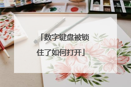 数字键盘被锁住了如何打开
