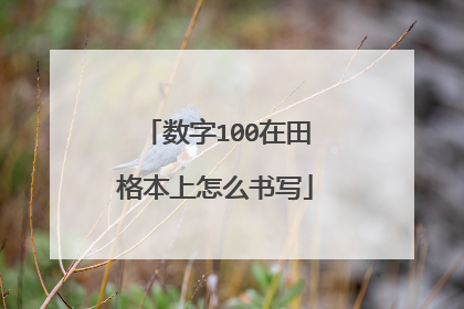 数字100在田格本上怎么书写