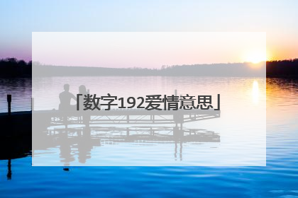 数字192爱情意思