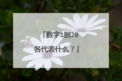 数字1到20各代表什么？
