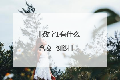 数字1有什么含义 谢谢
