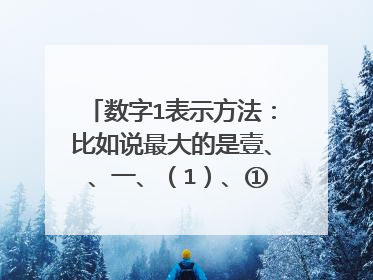 数字1表示方法：比如说最大的是壹、Ⅰ、一、（1）、①等等,只要1的 thank you