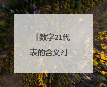 数字21代表的含义?