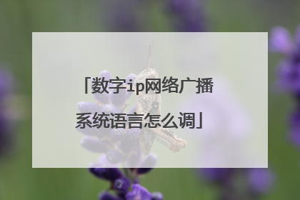 数字ip网络广播系统语言怎么调